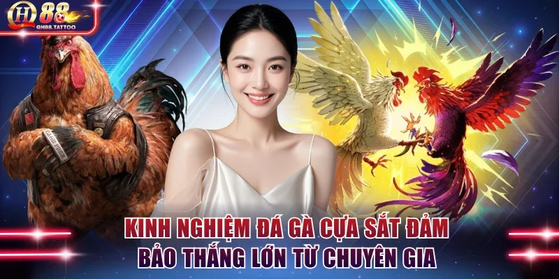 Kinh nghiệm đá gà cựa sắt